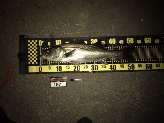 line_oa_chat_210501_133306