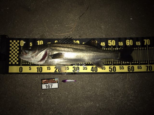 line_oa_chat_210501_133308