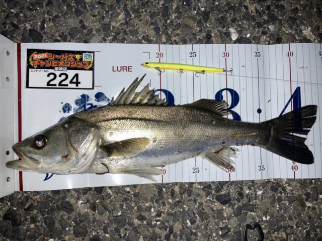 line_oa_chat_210501_133429