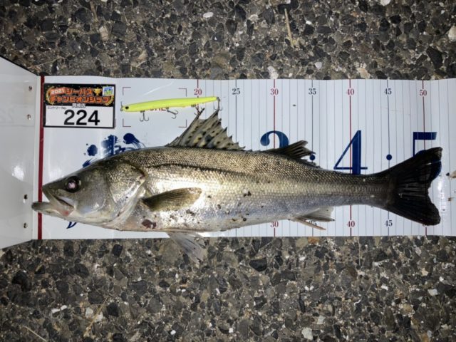 line_oa_chat_210501_133431