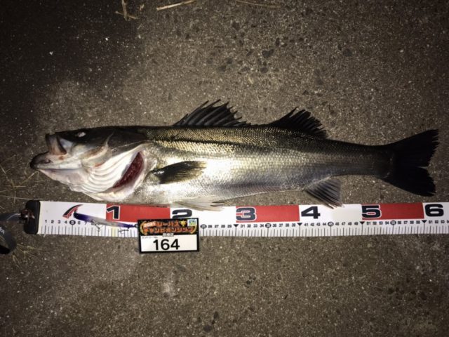 line_oa_chat_210501_134159