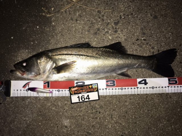 line_oa_chat_210501_134201