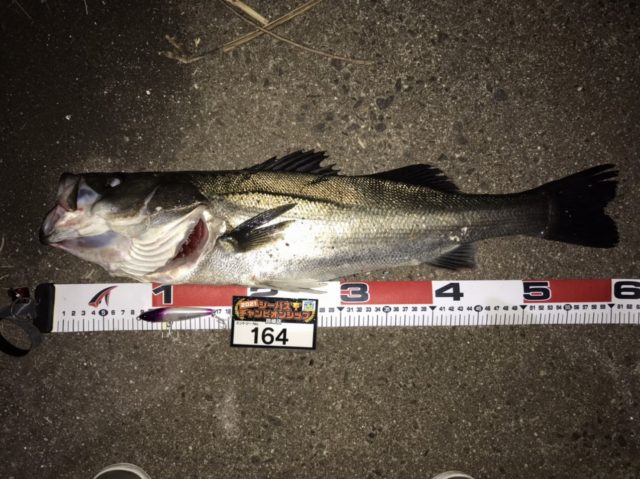 line_oa_chat_210501_134203