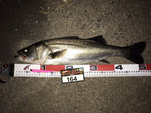 line_oa_chat_210501_134205