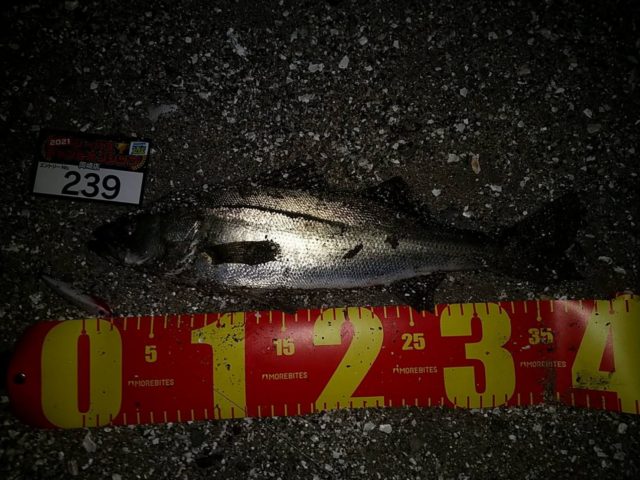 line_oa_chat_210501_134323