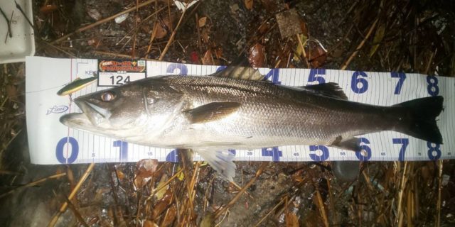 line_oa_chat_210501_134405