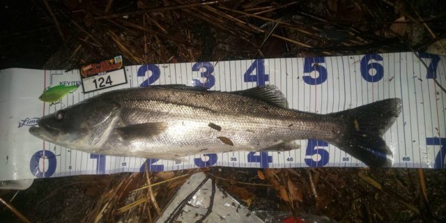 line_oa_chat_210501_134407