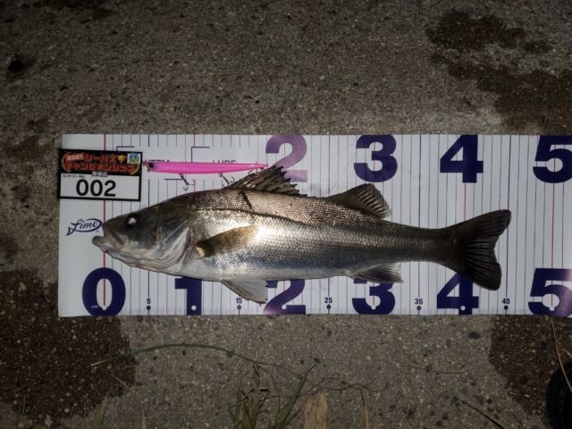 line_oa_chat_210501_134515