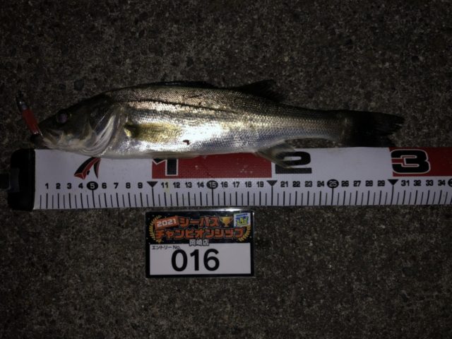 line_oa_chat_210501_134556