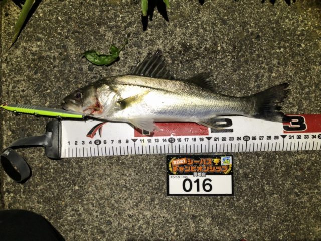 line_oa_chat_210501_134603