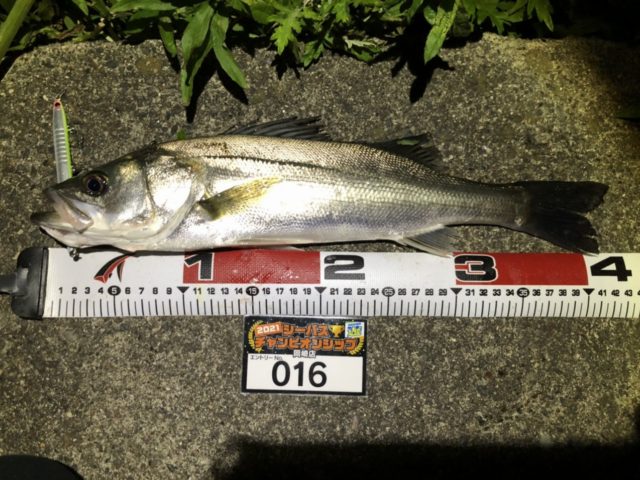 line_oa_chat_210501_134611