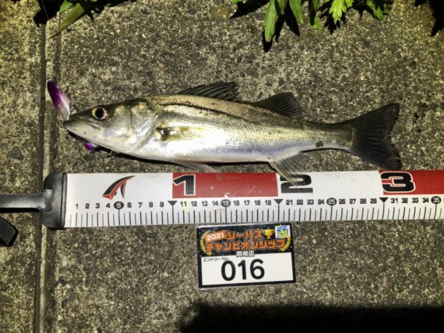 line_oa_chat_210501_134614