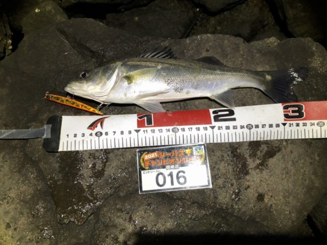 line_oa_chat_210501_134616