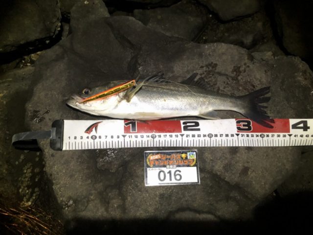 line_oa_chat_210501_134618