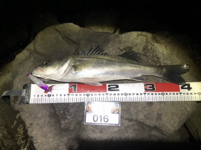 line_oa_chat_210501_134621