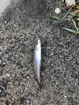 line_oa_chat_210503_091527