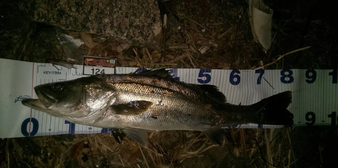 line_oa_chat_210508_110427