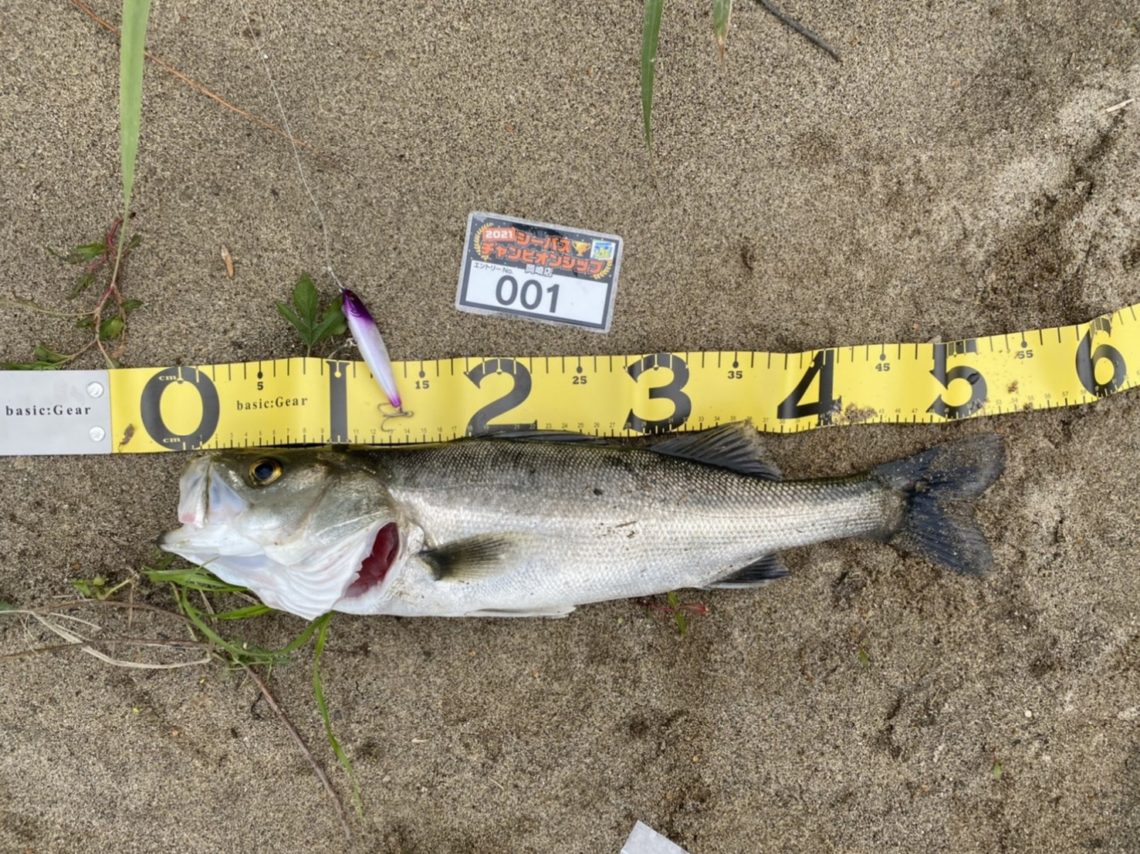 line_oa_chat_210508_110547