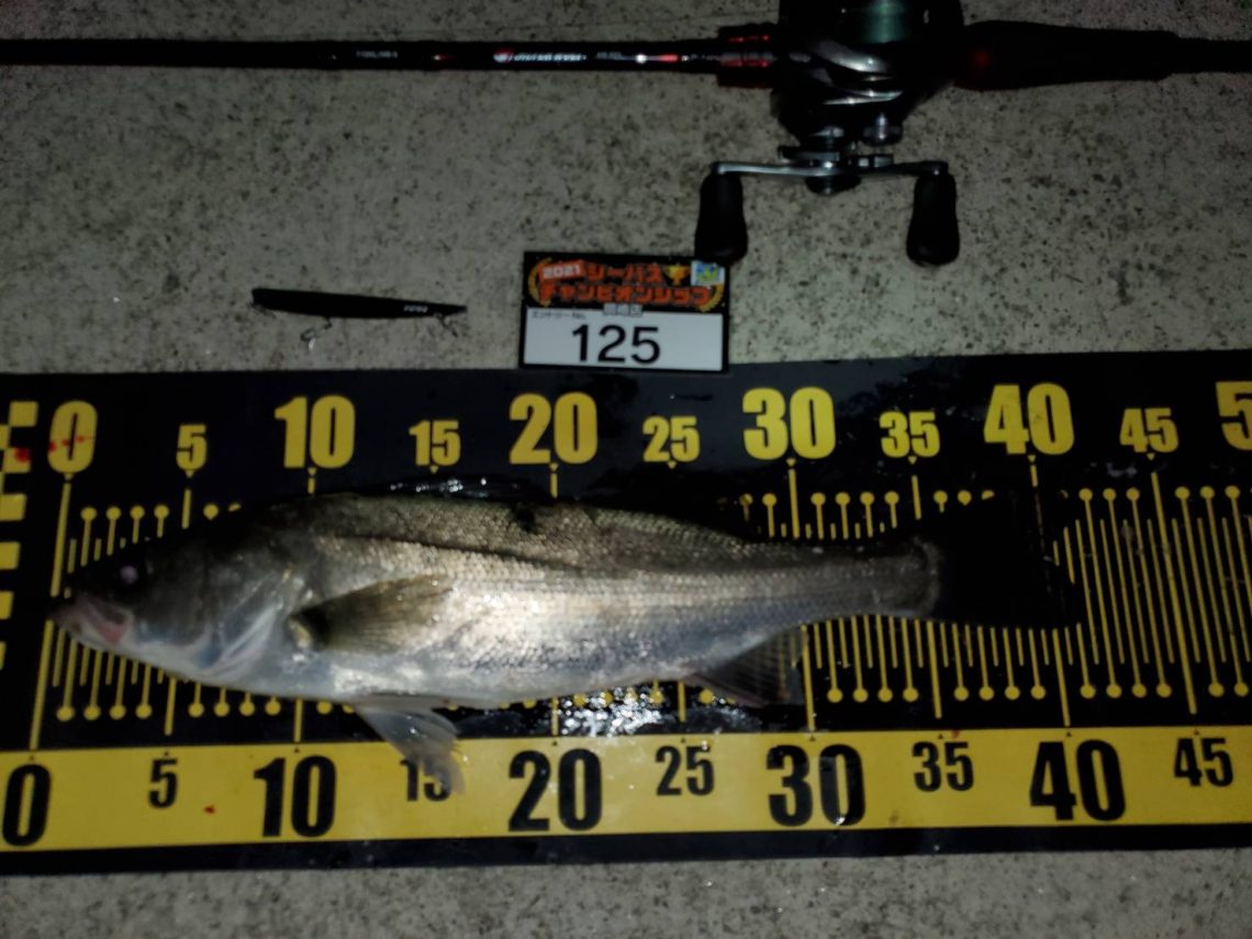 line_oa_chat_210508_110832