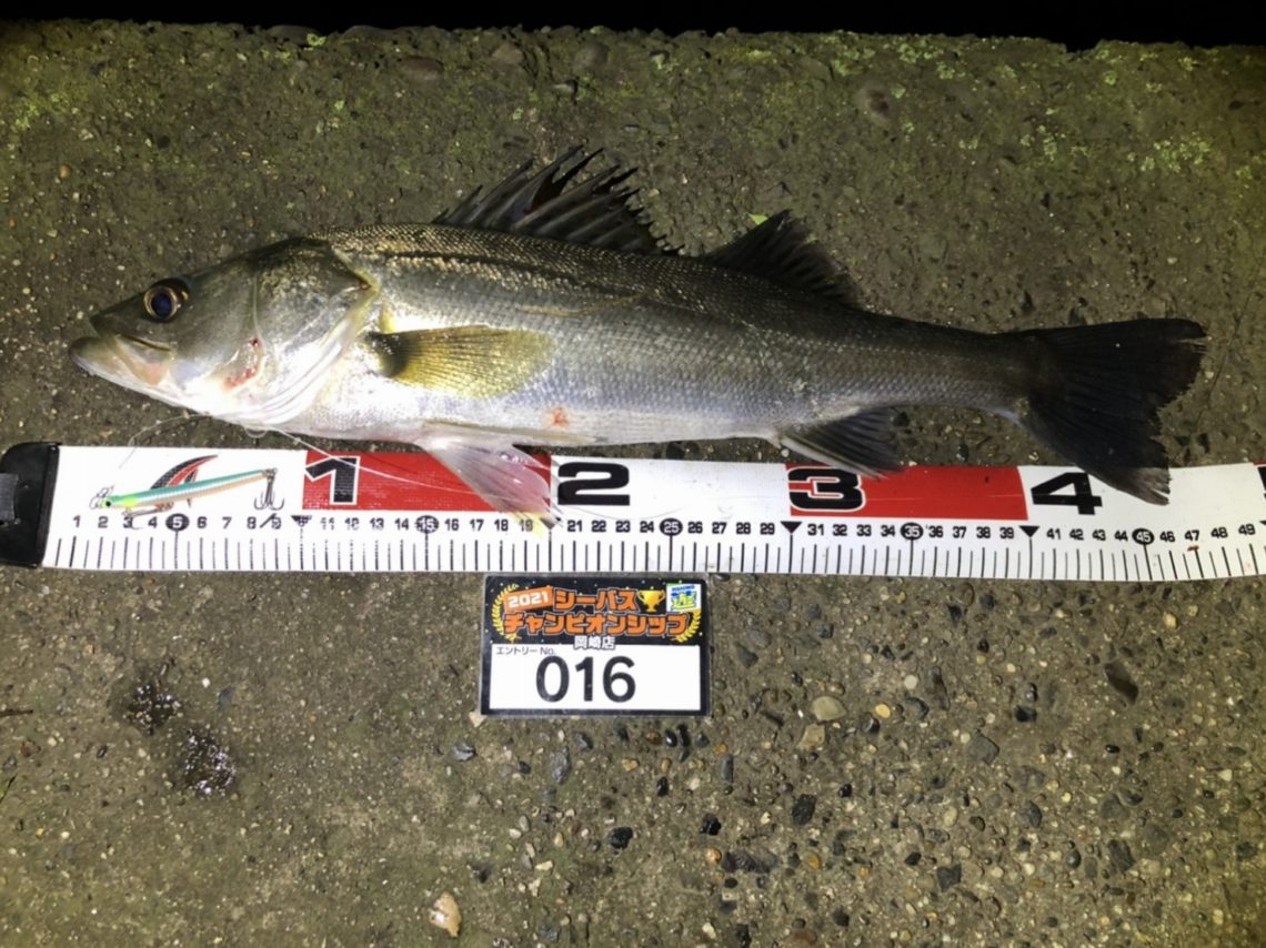 line_oa_chat_210508_110958