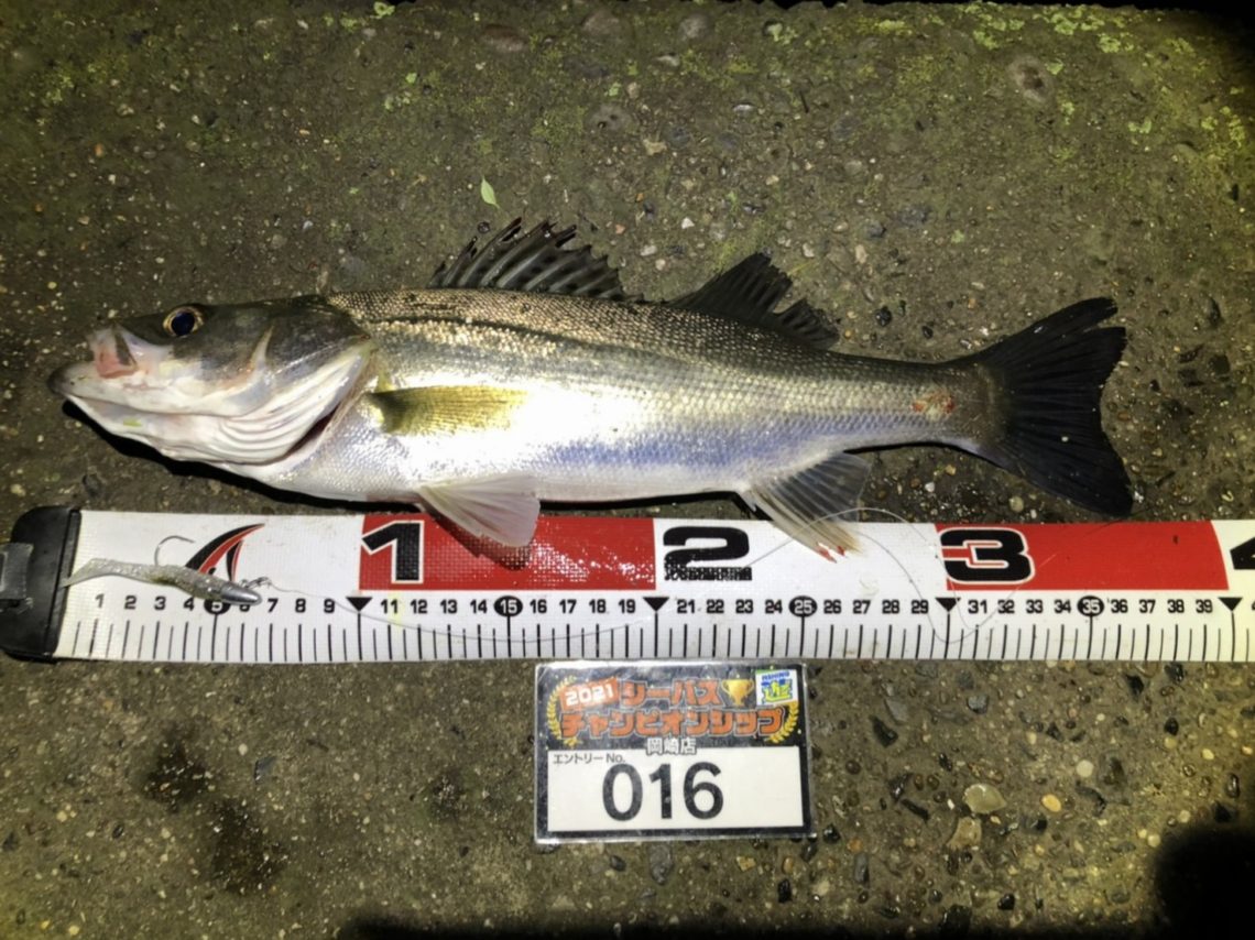 line_oa_chat_210508_111001