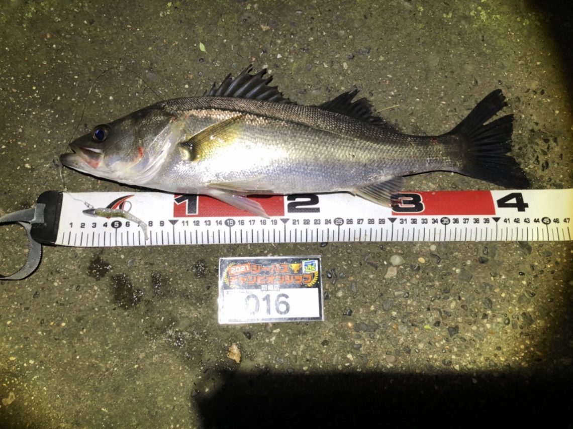 line_oa_chat_210508_111003