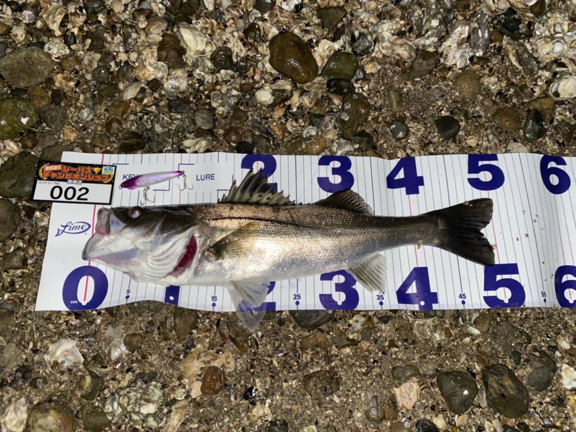 line_oa_chat_210508_111149