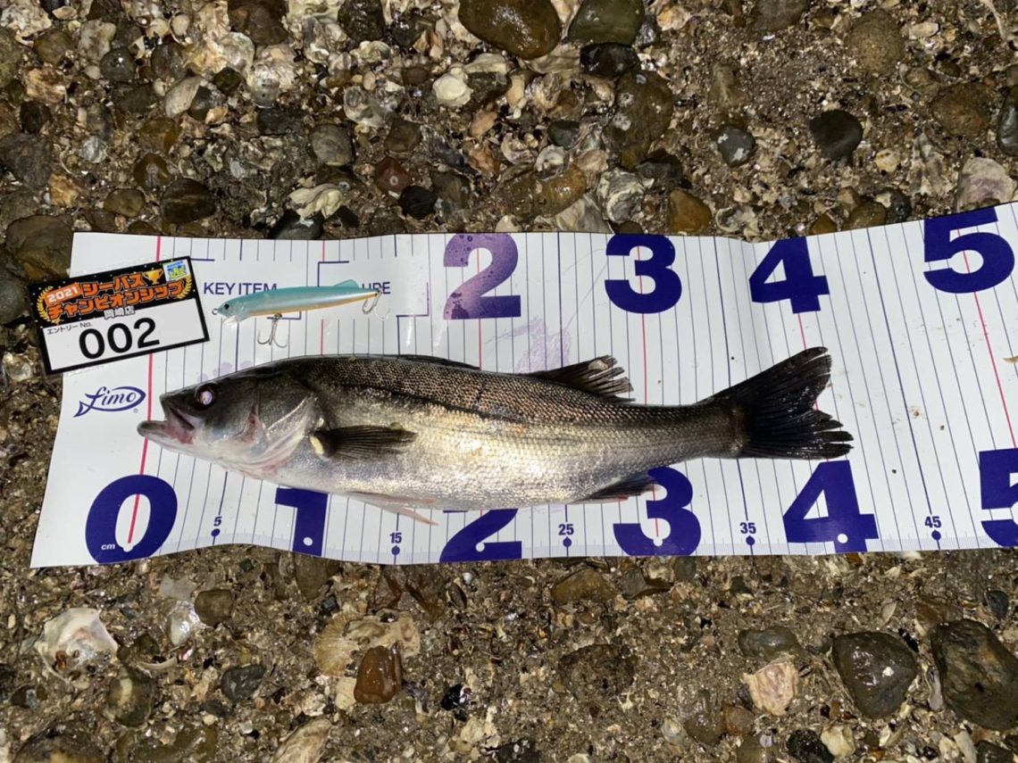 line_oa_chat_210508_111153