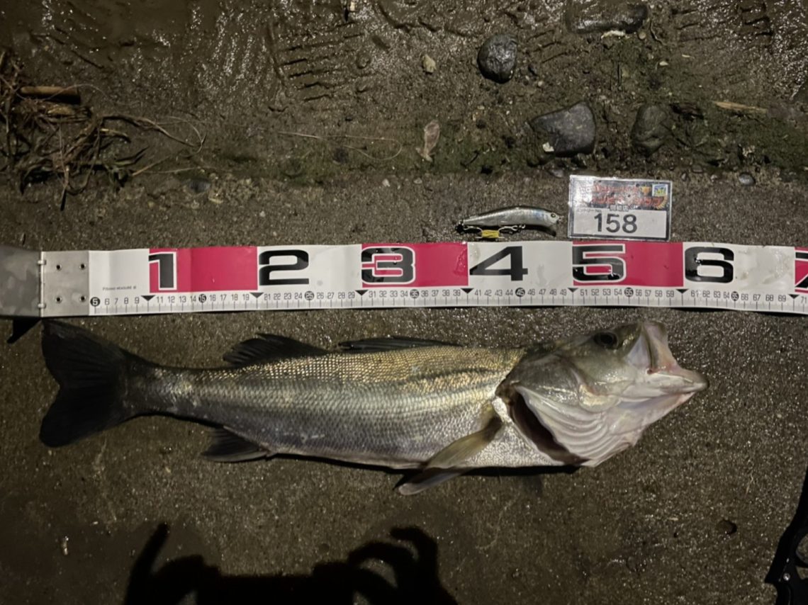 line_oa_chat_210508_111234