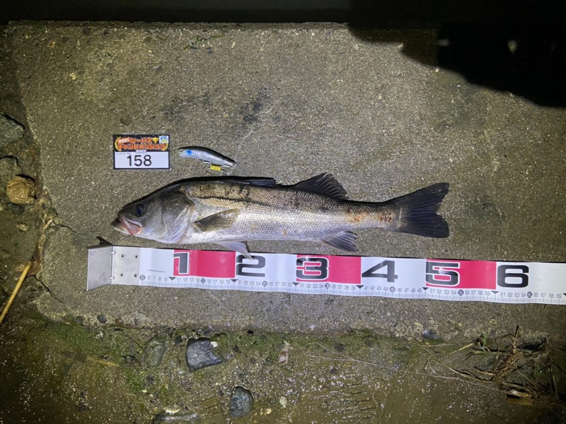 line_oa_chat_210508_111238