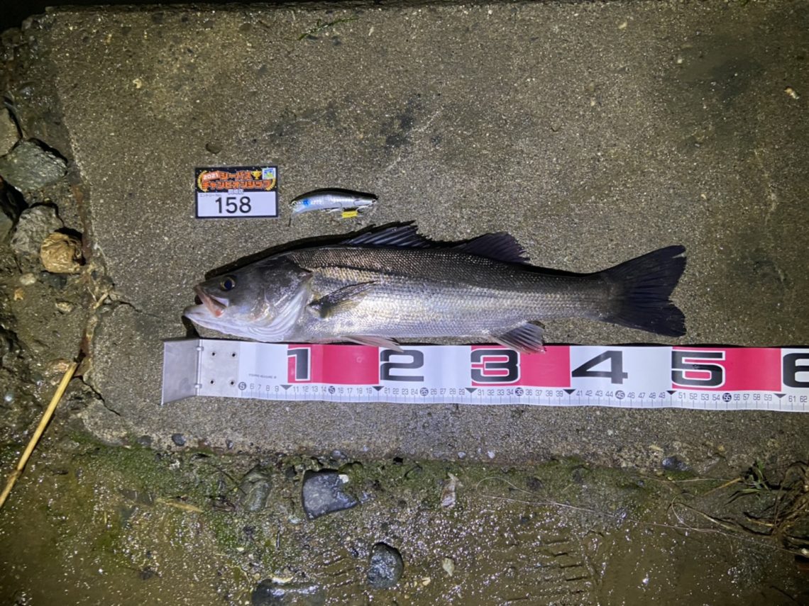 line_oa_chat_210508_111240