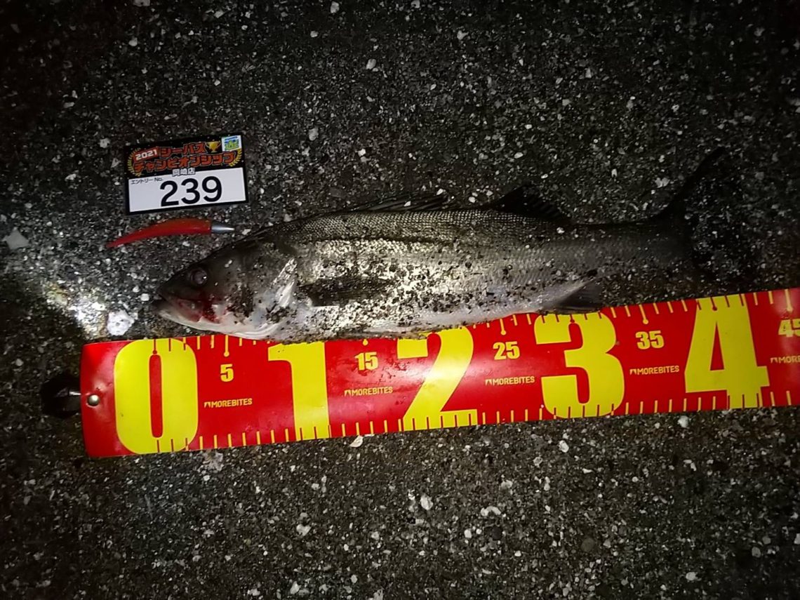 line_oa_chat_210508_112012