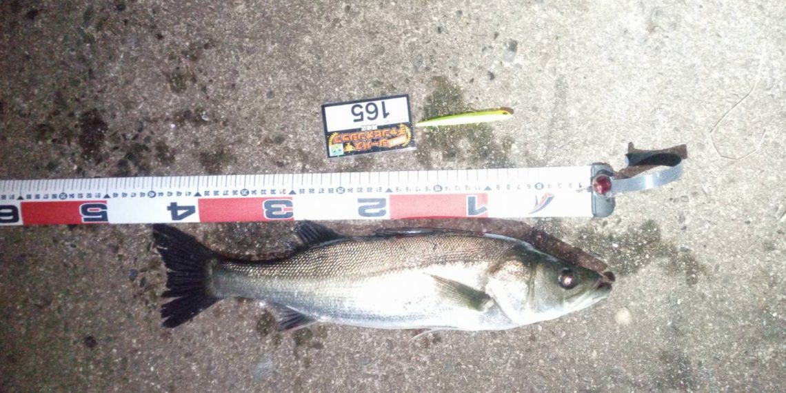 line_oa_chat_210508_112044