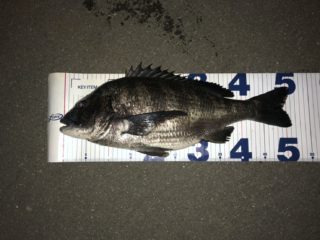 line_oa_chat_210515_092511