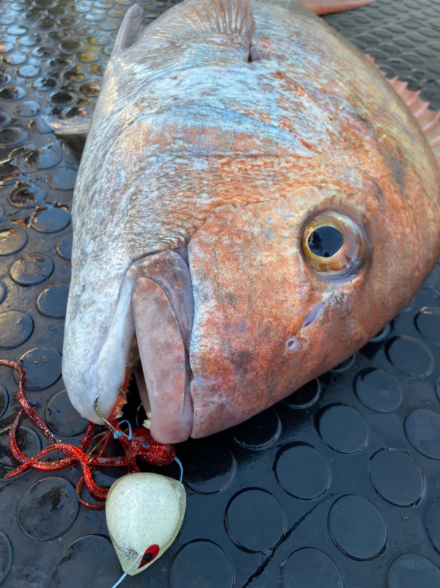 o1078144014939859775