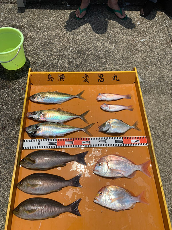 6月23日-愛昌丸様1