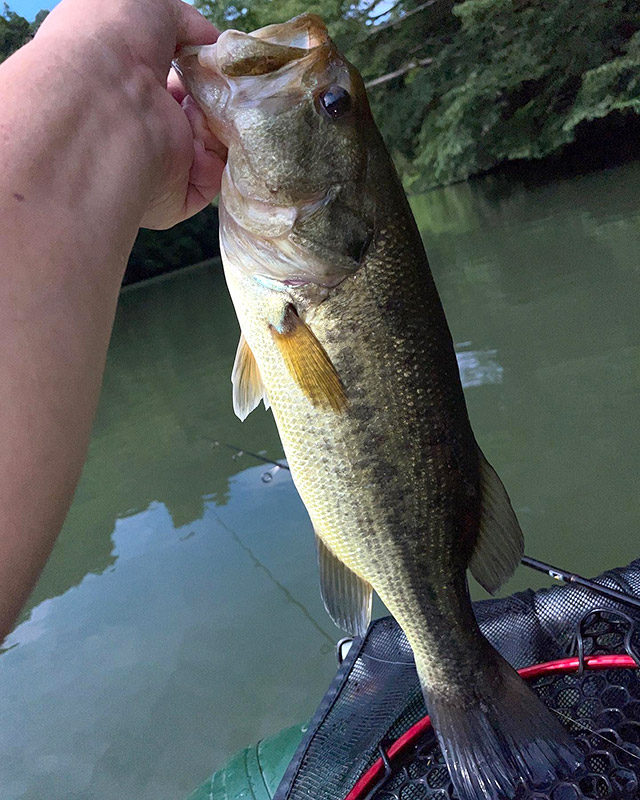 6月12日-花島様1