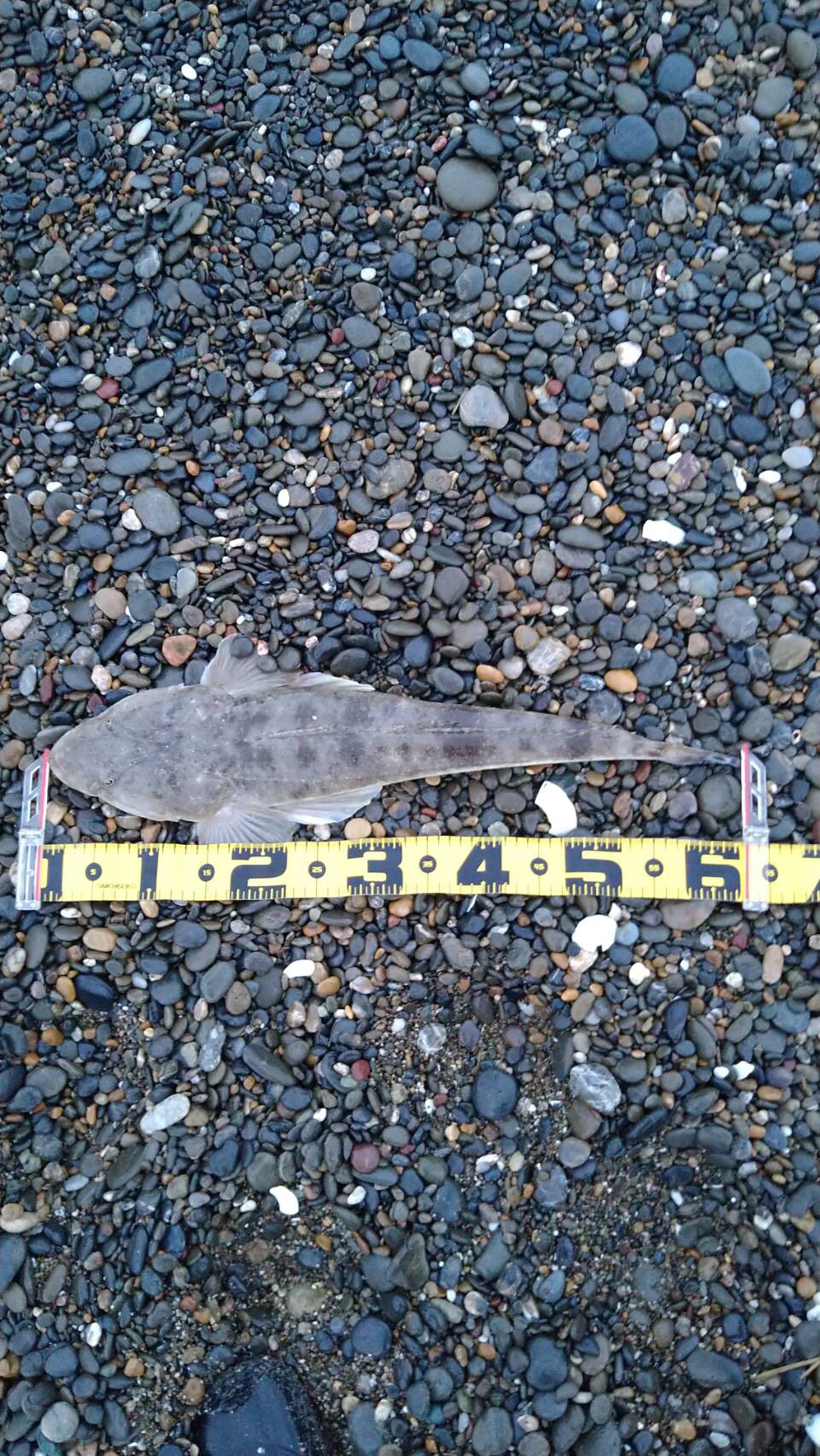 4Wso_2GvnRhzFXdFN_g_SlVkQ7YtzeiSyiv3bn8DcUC9gS_o3ERWdpFfTDzEtyhEJFkhZbe7Z_hAUXsuBmfX6WtO0x3cDs1bpmyvTpbCg-qtM46k8fnkI0_GayApDVX0