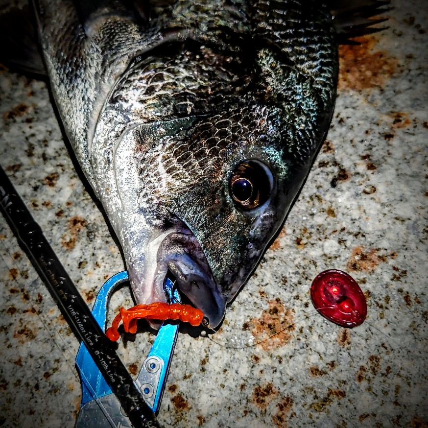 DSC_1410~2_copy_874x874