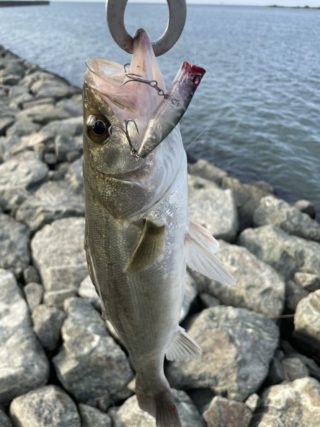 FB26163D-A935-4EE7-B2A3-ABC241CBD250