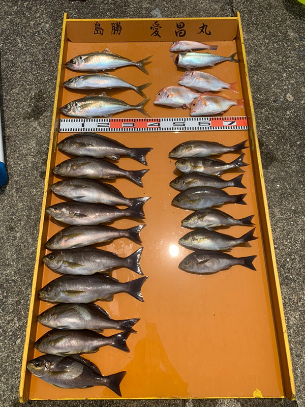 6月8日-愛昌丸様1