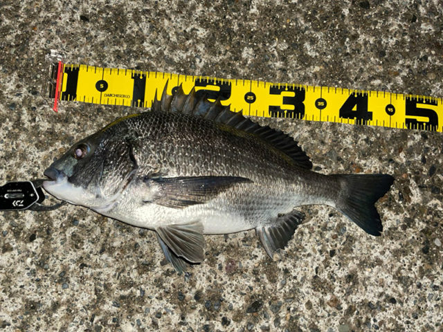 6月18日-モリモリ様1