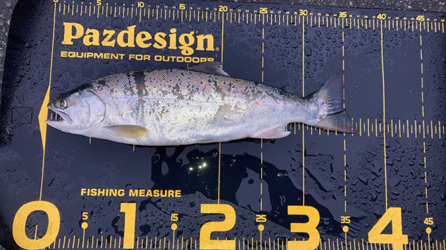 6月19日-宮崎敏郎様