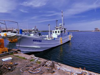 line_23323050826569[1]