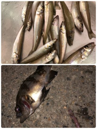 line_oa_chat_210606_135629