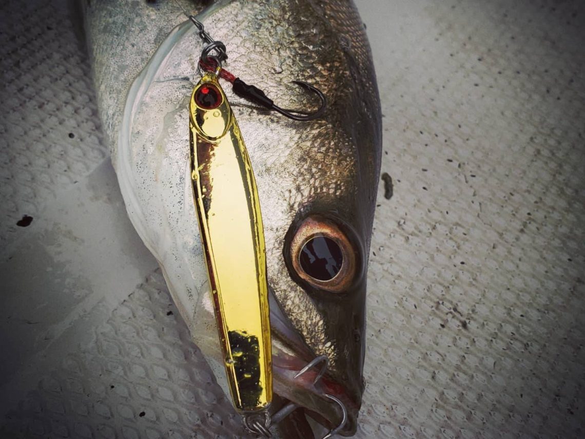 line_oa_chat_210608_093224