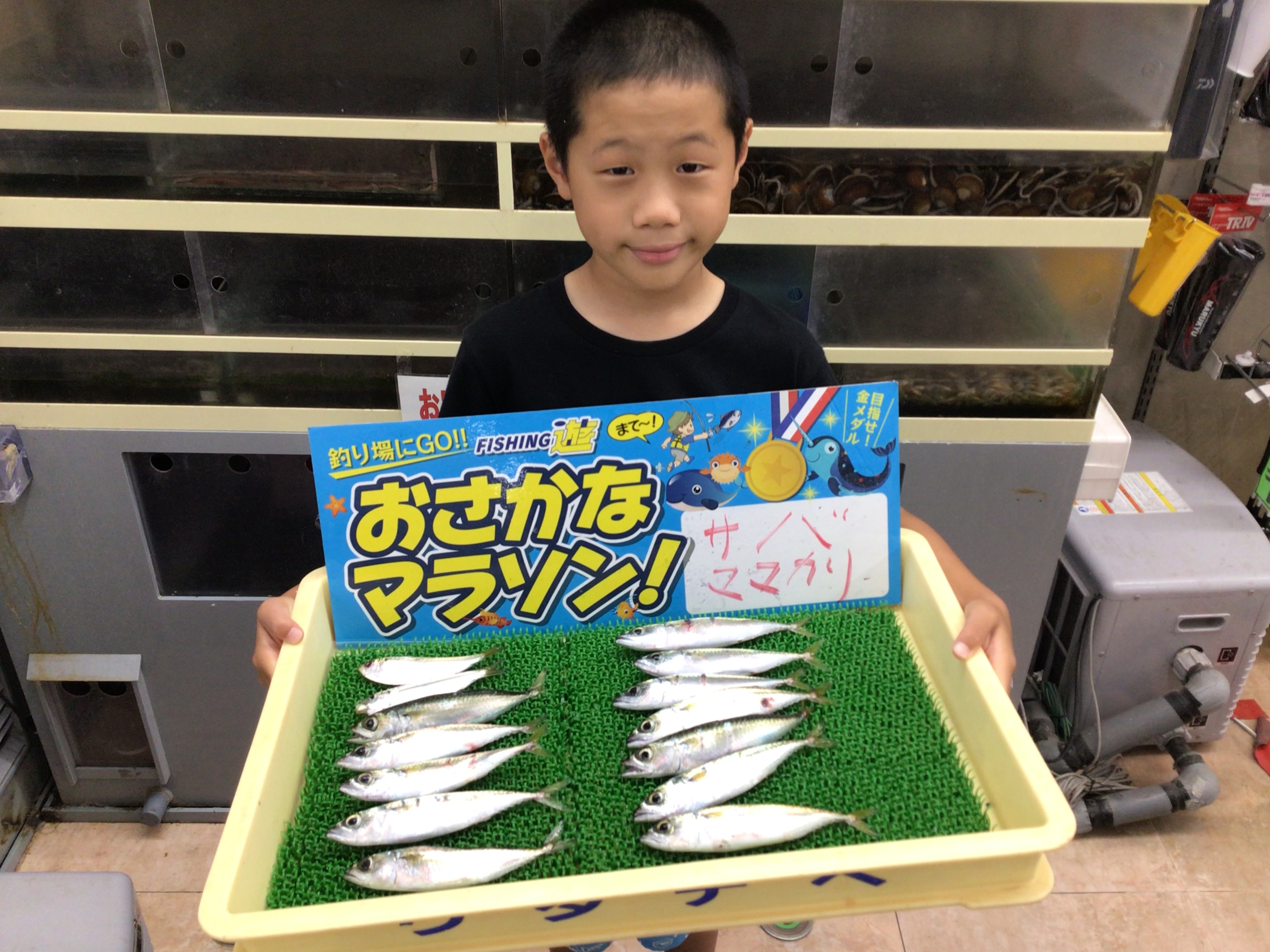 024EF8EF-A3BF-4A2D-8D1B-0D47163FD9CC