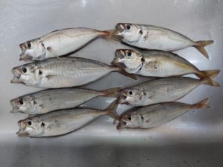 20210706_004624 (640x480)