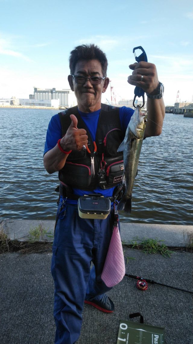 4fGFStEM_byEU3UtIy4j7XYFR6Z9HUT2r58LVrIec6SGSfehtdAJAa1LpBMtPM_XrM3Jigdxf4EW8NZTKZe5kzBtiJzjOL4ZB_byDaPGJ9SaXHLGDGFFcwA6pMq6vVsD