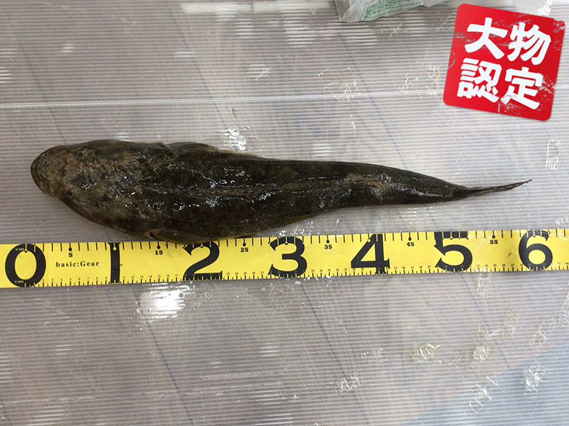 73fd4776881d7d52804bf48cacf7df